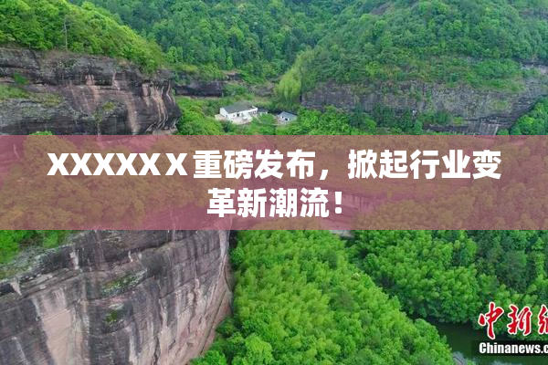 XXXXXⅩ重磅发布，掀起行业变革新潮流！