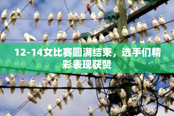 12-14女比赛圆满结束，选手们精彩表现获赞