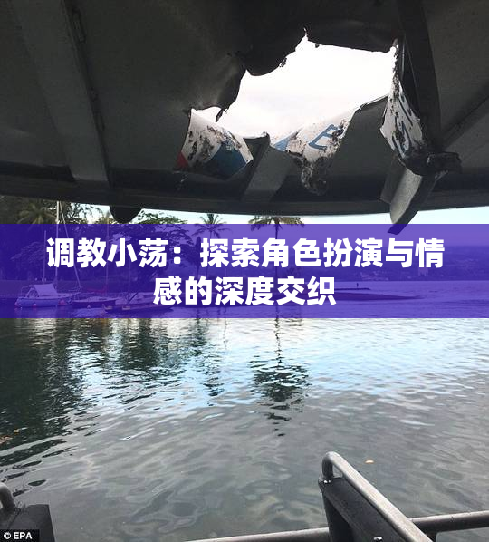 调教小荡：探索角色扮演与情感的深度交织