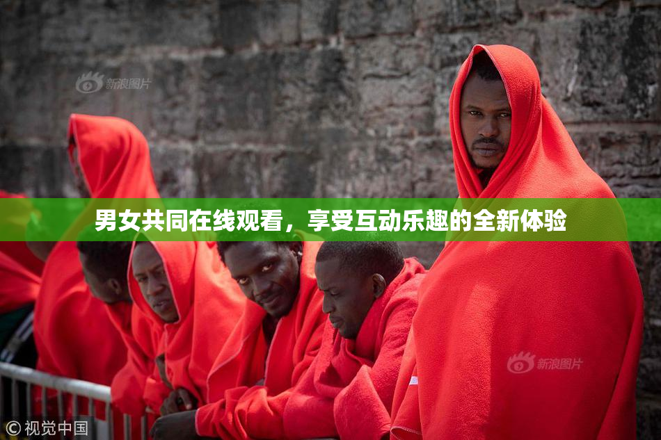 男女共同在线观看，享受互动乐趣的全新体验