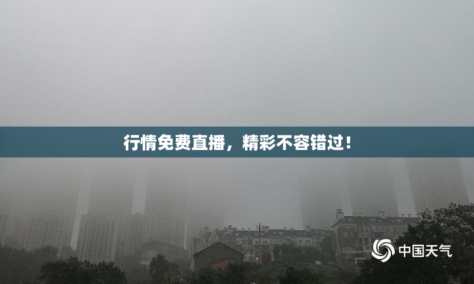 行情免费直播，精彩不容错过！