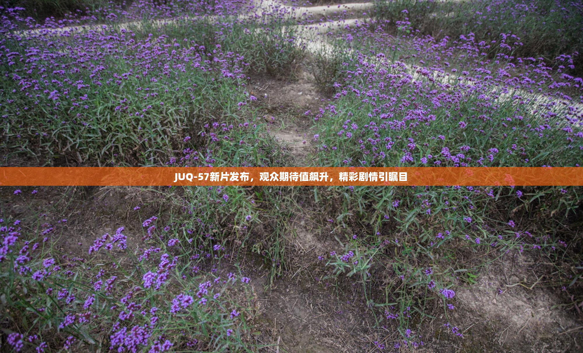 JUQ-57新片发布，观众期待值飙升，精彩剧情引瞩目