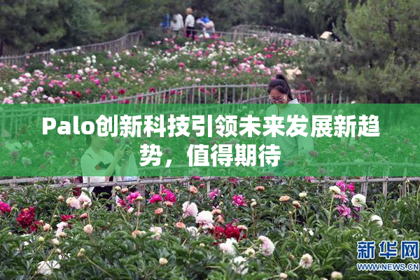 Palo创新科技引领未来发展新趋势，值得期待