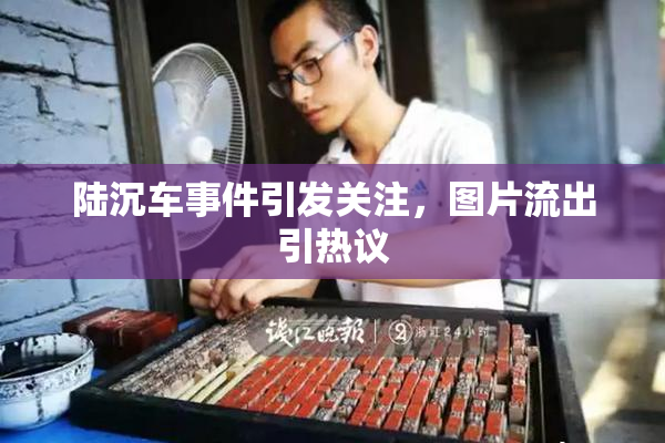 陆沉车事件引发关注，图片流出引热议
