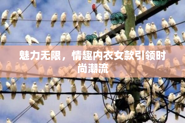 魅力无限，情趣内衣女款引领时尚潮流