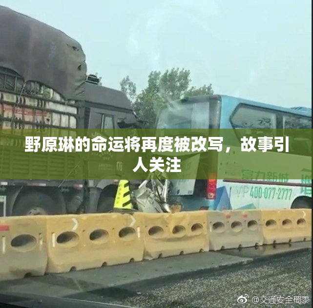 野原琳的命运将再度被改写，故事引人关注