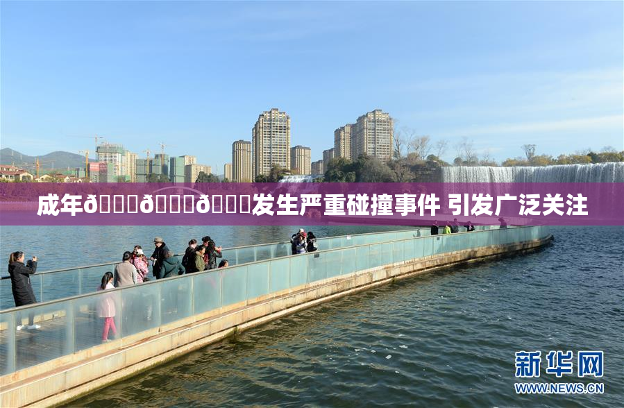 成年🍆🍑🔞发生严重碰撞事件 引发广泛关注