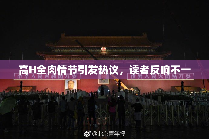 高H全肉情节引发热议，读者反响不一