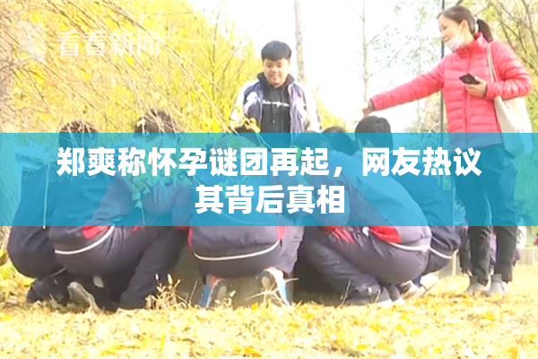郑爽称怀孕谜团再起，网友热议其背后真相