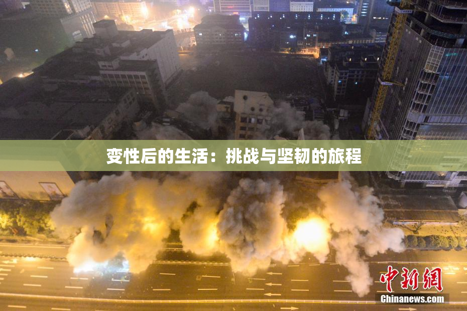 变性后的生活：挑战与坚韧的旅程