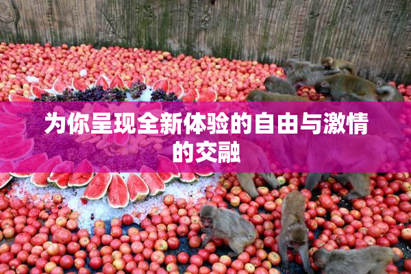 为你呈现全新体验的自由与激情的交融