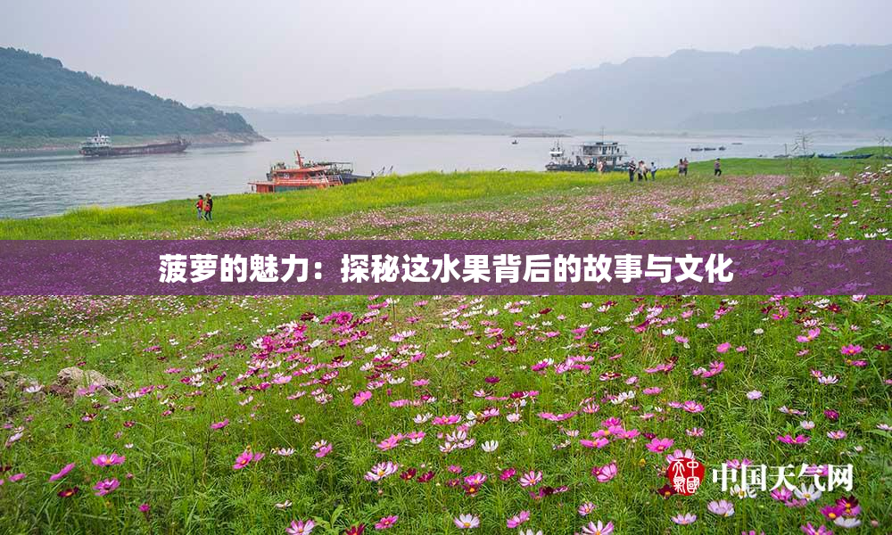 菠萝的魅力：探秘这水果背后的故事与文化