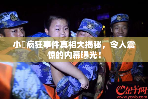 小泬疯狂事件真相大揭秘，令人震惊的内幕曝光！
