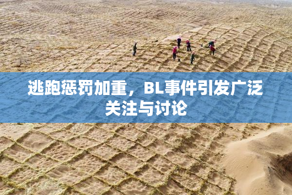 逃跑惩罚加重，BL事件引发广泛关注与讨论