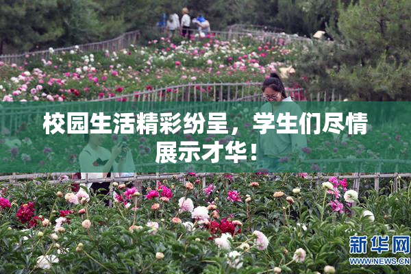 校园生活精彩纷呈，学生们尽情展示才华！