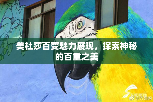 美杜莎百变魅力展现，探索神秘的百重之美