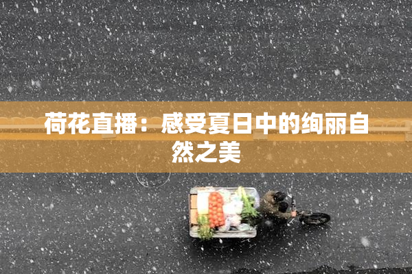荷花直播：感受夏日中的绚丽自然之美