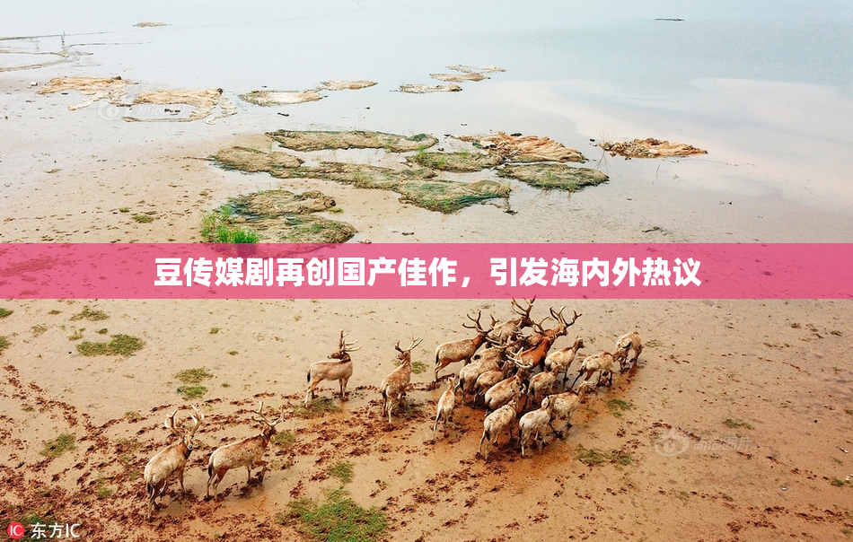 豆传媒剧再创国产佳作，引发海内外热议