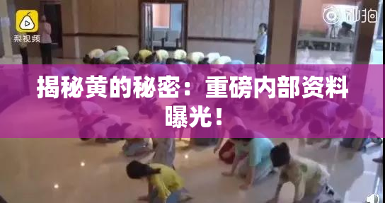 揭秘黄的秘密：重磅内部资料曝光！