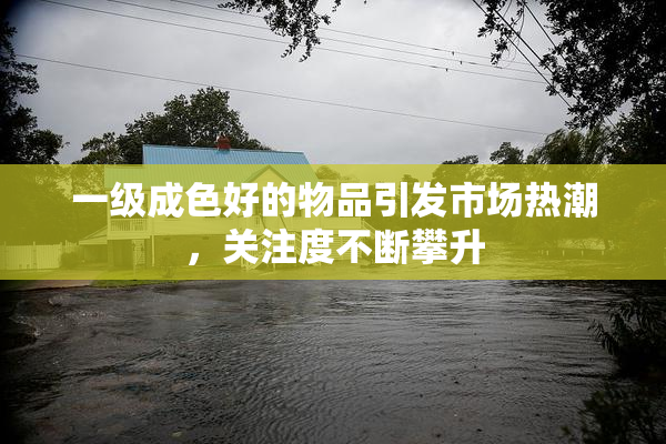 一级成色好的物品引发市场热潮，关注度不断攀升