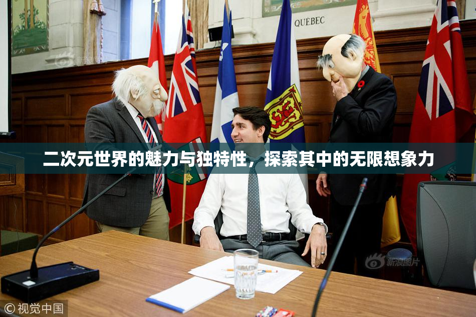 二次元世界的魅力与独特性，探索其中的无限想象力