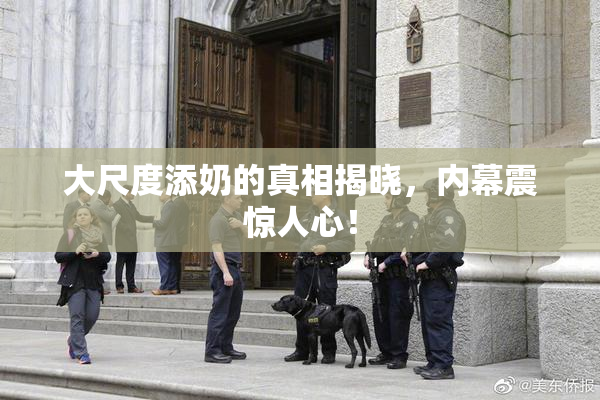 大尺度添奶的真相揭晓，内幕震惊人心！