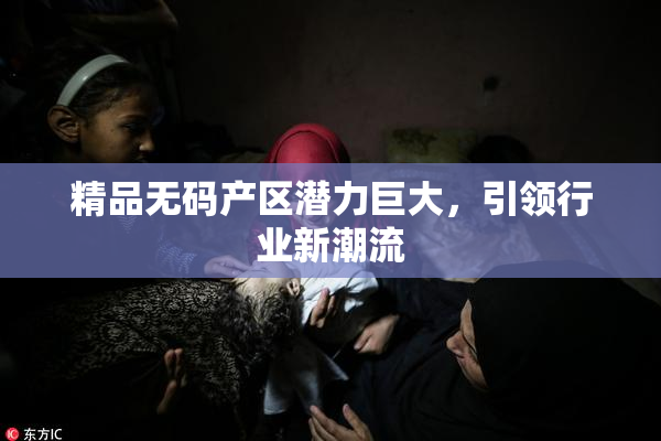 精品无码产区潜力巨大，引领行业新潮流