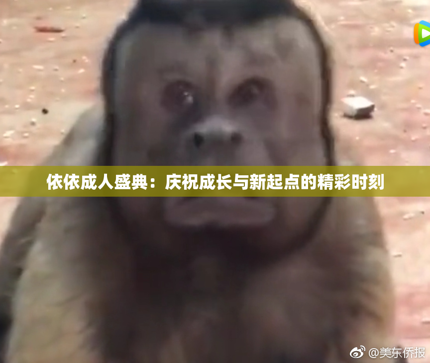 依依成人盛典：庆祝成长与新起点的精彩时刻