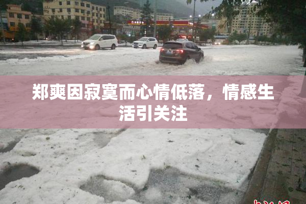 郑爽因寂寞而心情低落，情感生活引关注