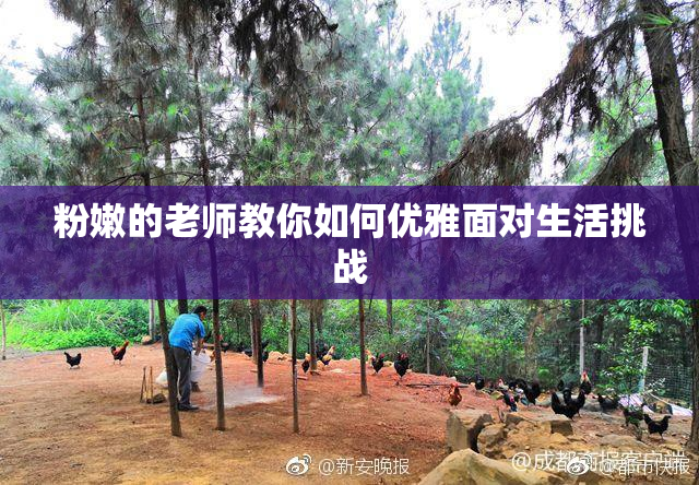 粉嫩的老师教你如何优雅面对生活挑战