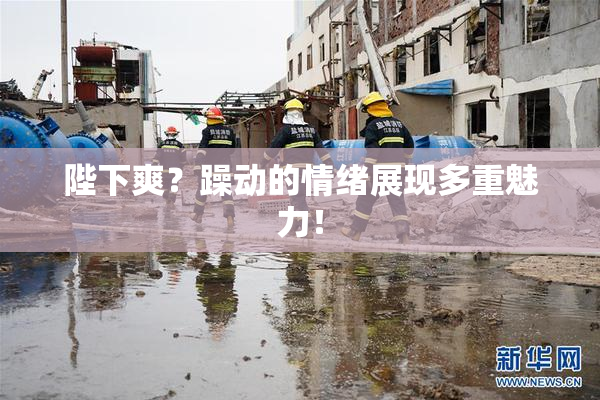陛下爽？躁动的情绪展现多重魅力！