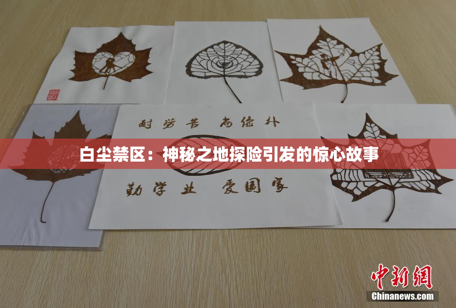 白尘禁区：神秘之地探险引发的惊心故事