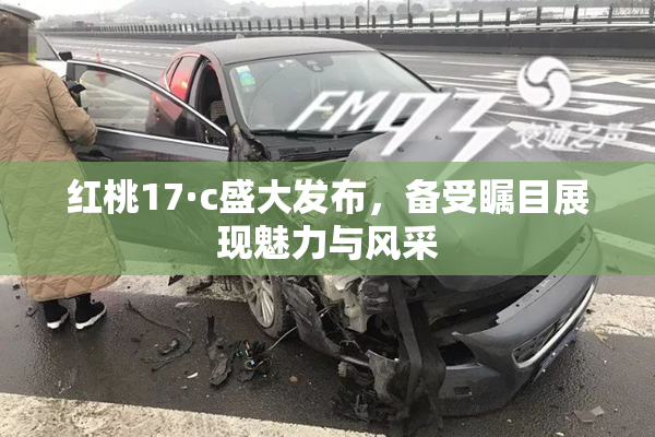 红桃17·c盛大发布，备受瞩目展现魅力与风采