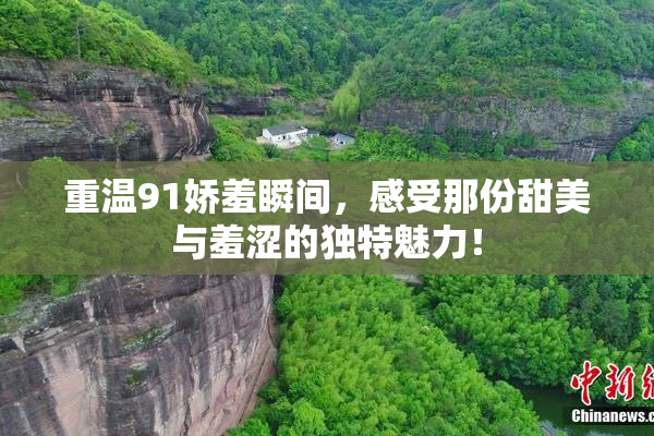 重温91娇羞瞬间，感受那份甜美与羞涩的独特魅力！