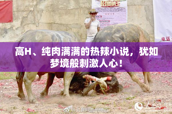高H、纯肉满满的热辣小说，犹如梦境般刺激人心！