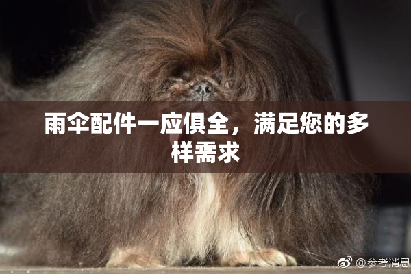 雨伞配件一应俱全，满足您的多样需求