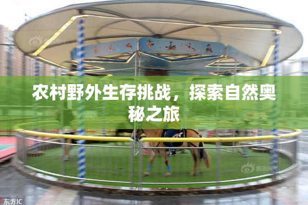 农村野外生存挑战，探索自然奥秘之旅