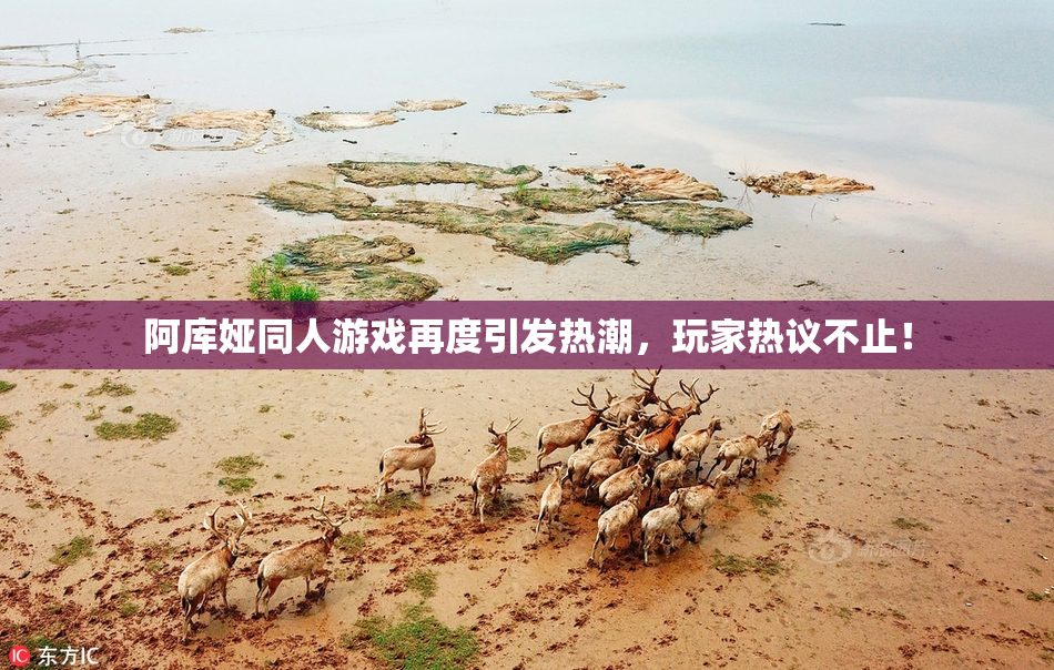 阿库娅同人游戏再度引发热潮，玩家热议不止！
