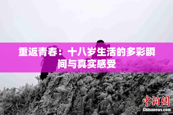 重返青春：十八岁生活的多彩瞬间与真实感受