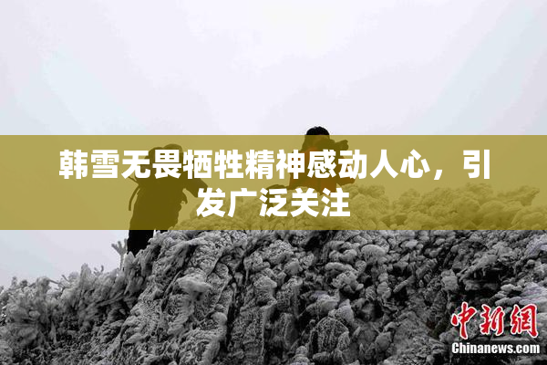 韩雪无畏牺牲精神感动人心，引发广泛关注