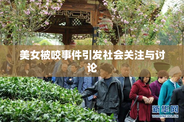 美女被咬事件引发社会关注与讨论