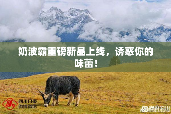 奶波霸重磅新品上线，诱惑你的味蕾！