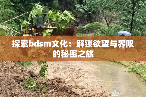 探索bdsm文化：解锁欲望与界限的秘密之旅