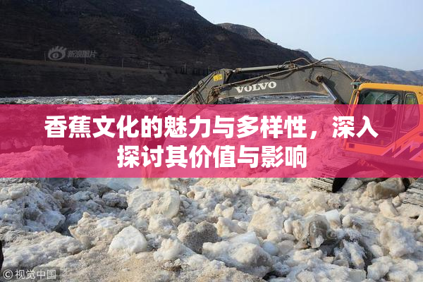香蕉文化的魅力与多样性，深入探讨其价值与影响