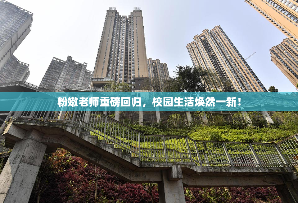 粉嫩老师重磅回归，校园生活焕然一新！