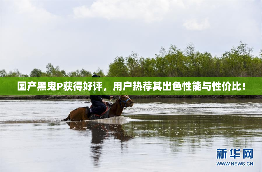 国产黑鬼P获得好评，用户热荐其出色性能与性价比！
