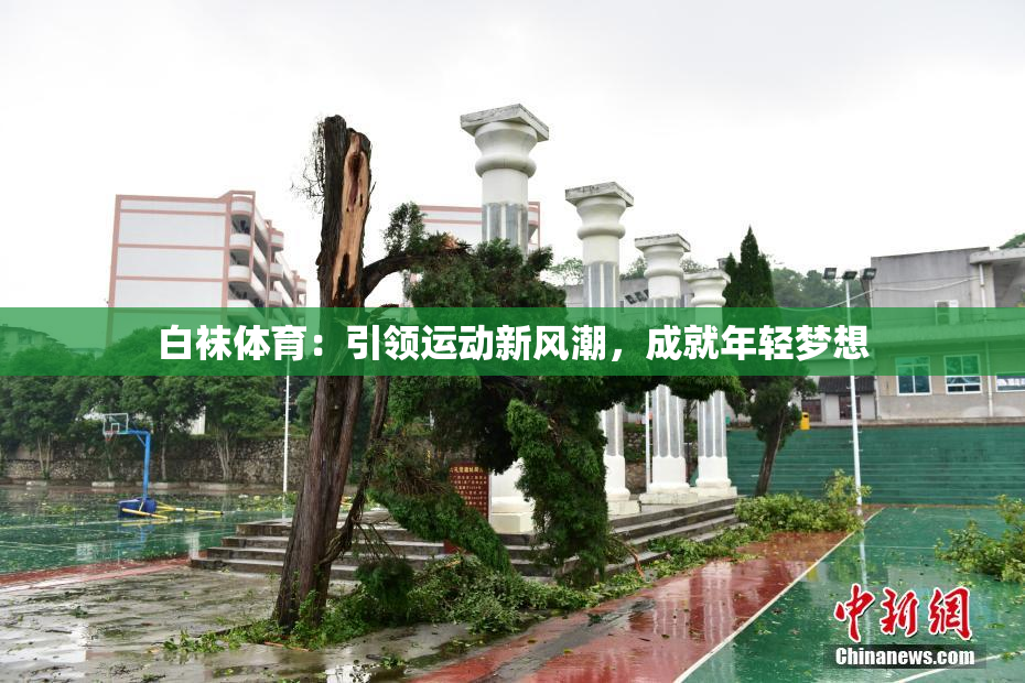 白袜体育：引领运动新风潮，成就年轻梦想