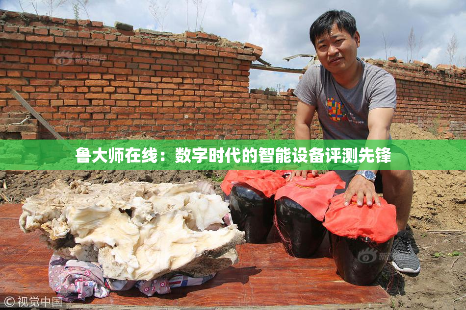 鲁大师在线：数字时代的智能设备评测先锋