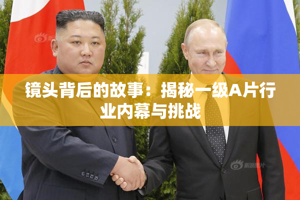 镜头背后的故事：揭秘一级A片行业内幕与挑战