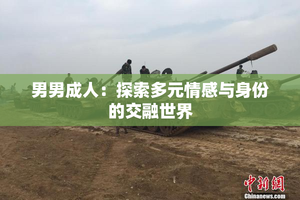 男男成人：探索多元情感与身份的交融世界